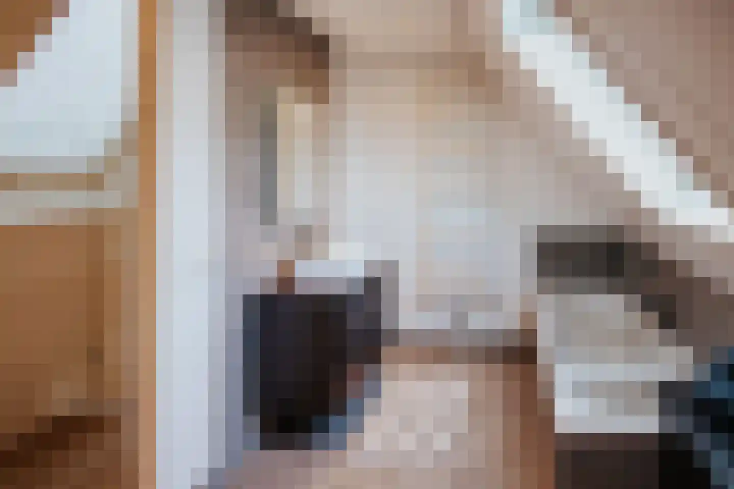 Papenmuts 18 IJzendijke thumbnail 23
