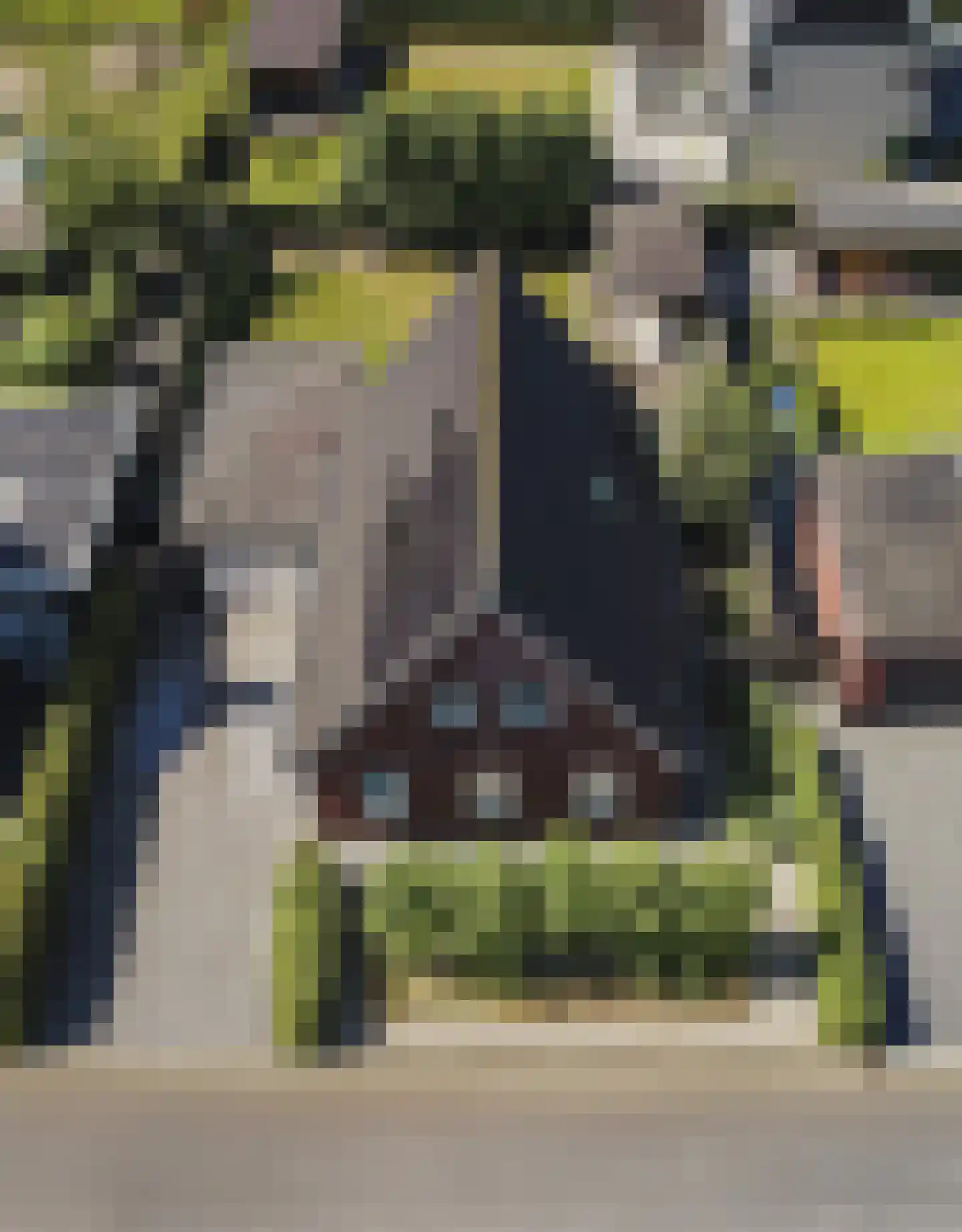 Papenmuts 18 IJzendijke thumbnail 24