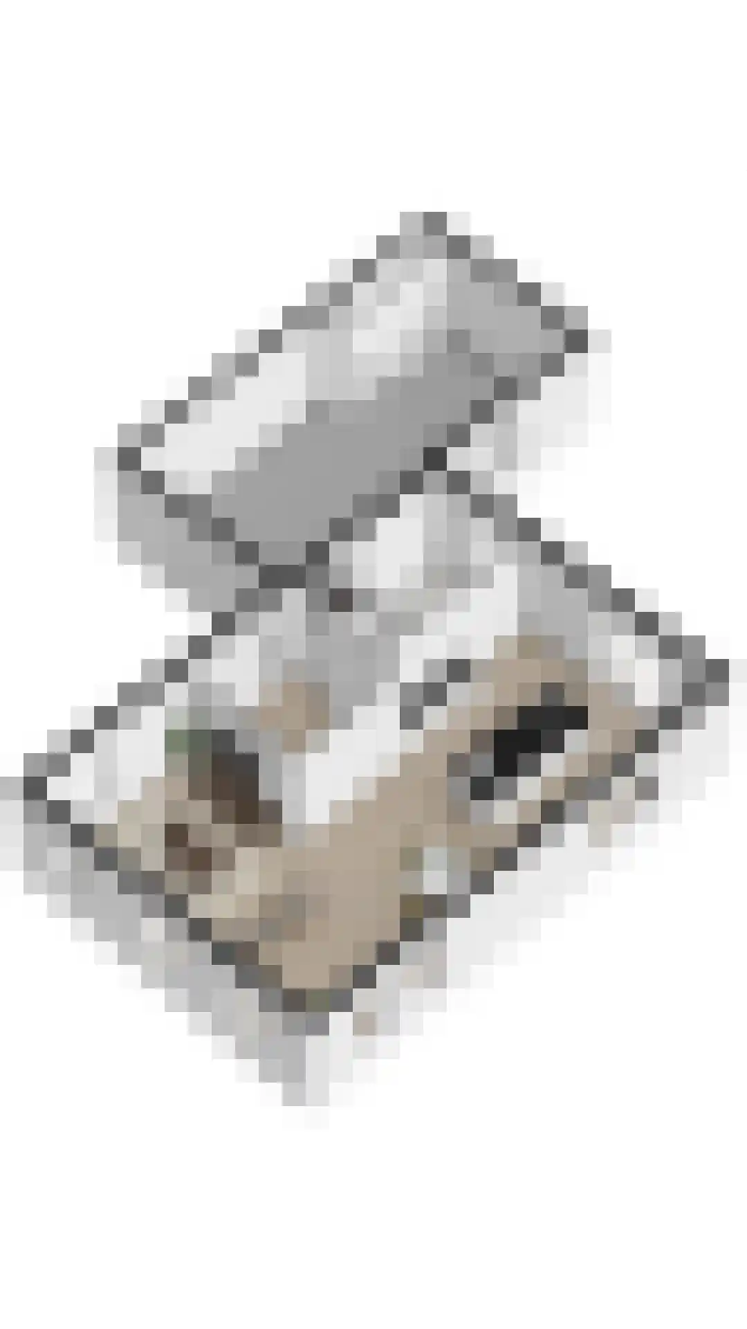 Papenmuts 18 IJzendijke thumbnail 28