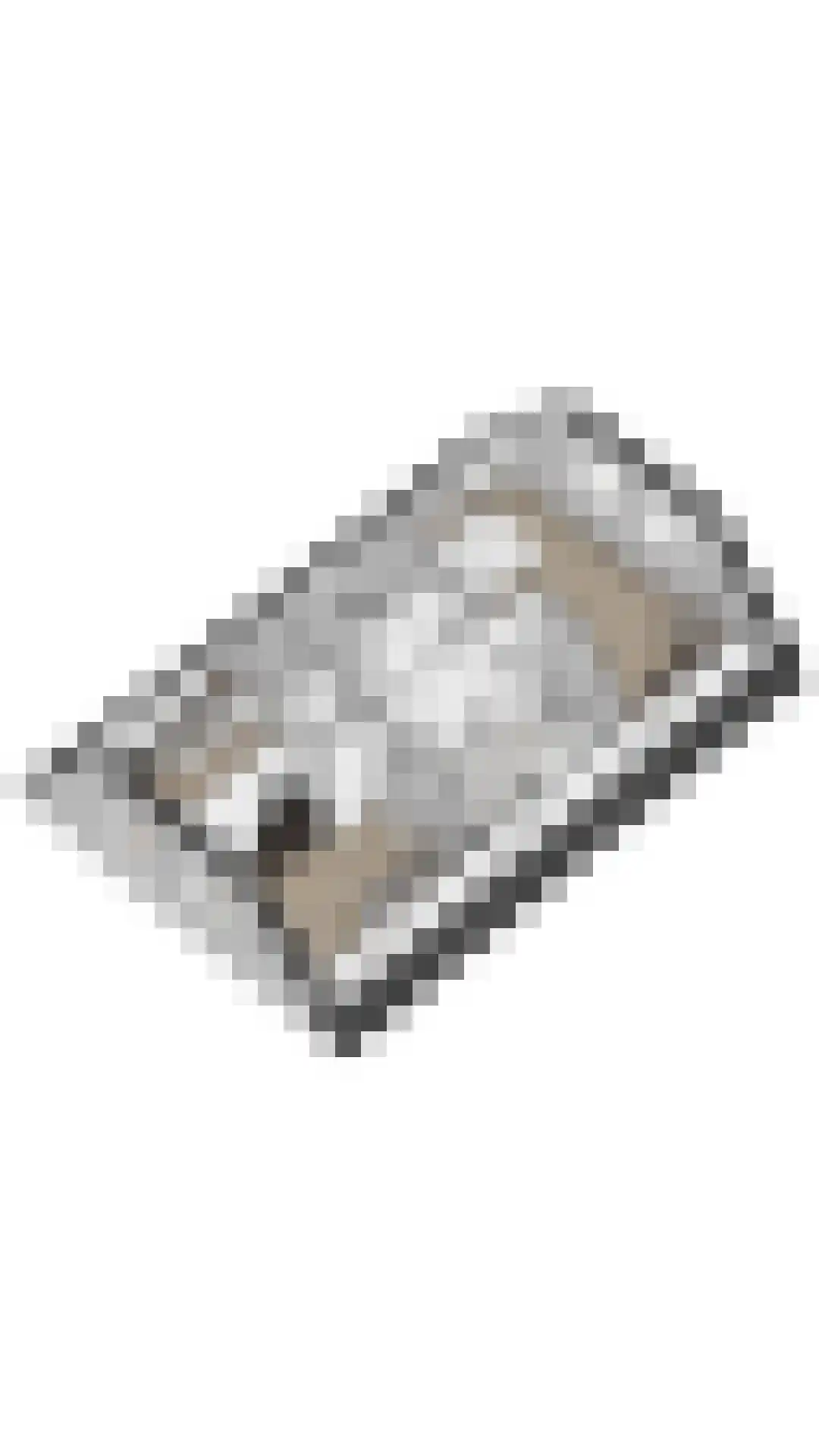 Papenmuts 18 IJzendijke thumbnail 29