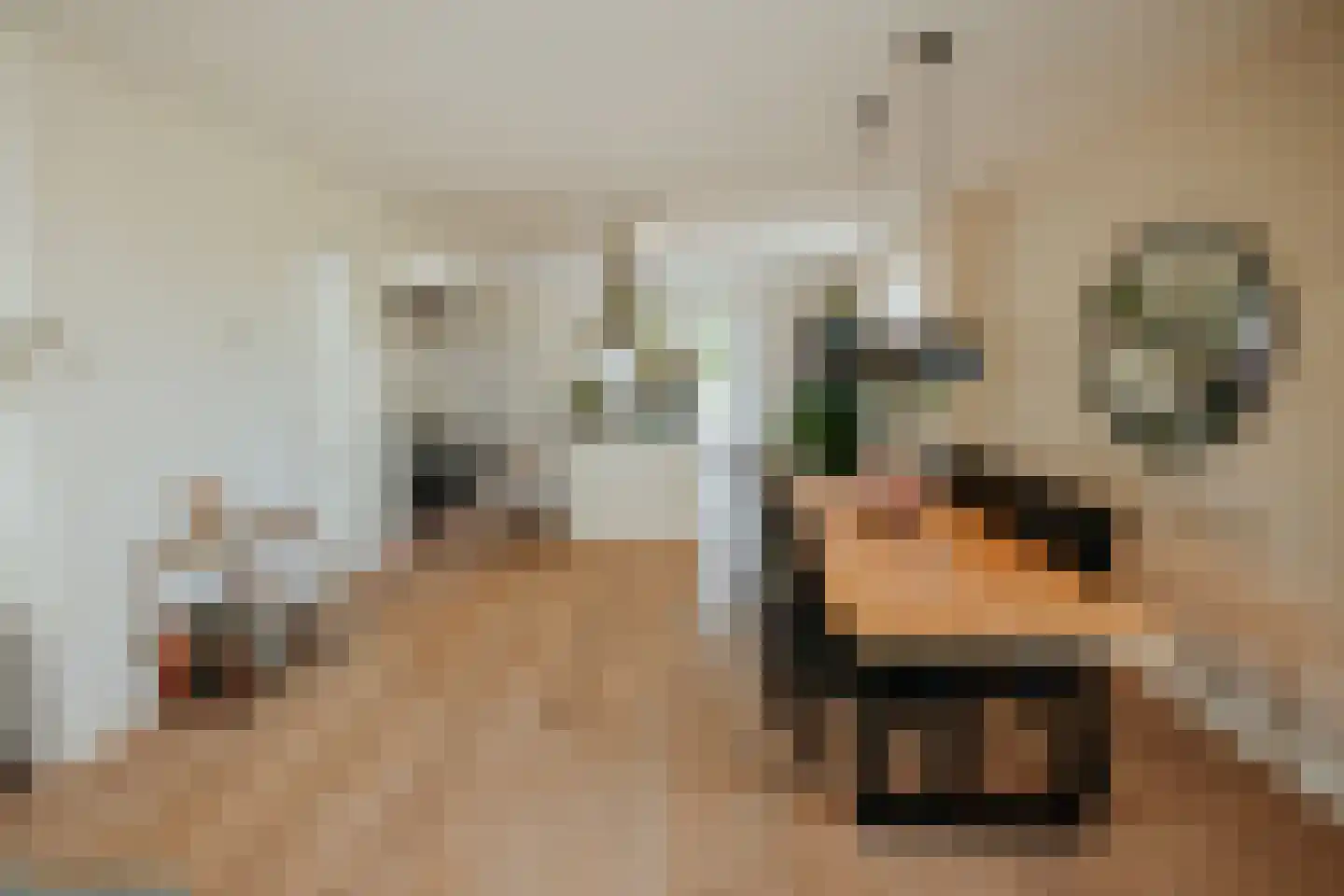 Papenmuts 18 IJzendijke thumbnail 4