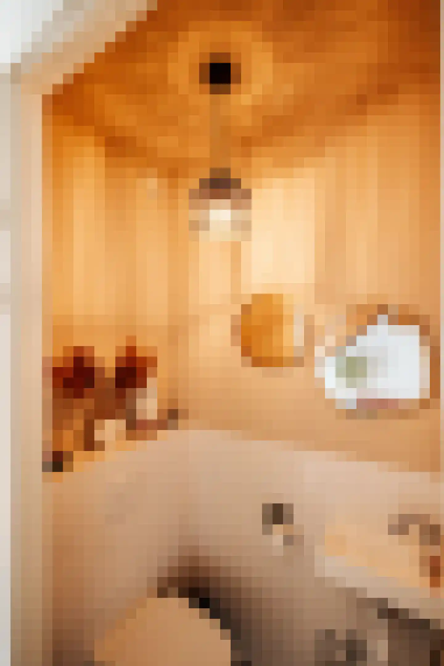 Papenmuts 18 IJzendijke thumbnail 8