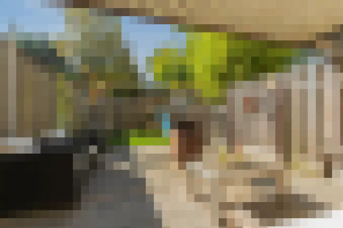 Papenmuts 8 Gorinchem thumbnail 37