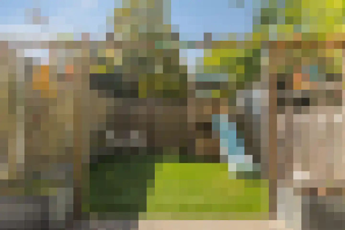 Papenmuts 8 Gorinchem thumbnail 38