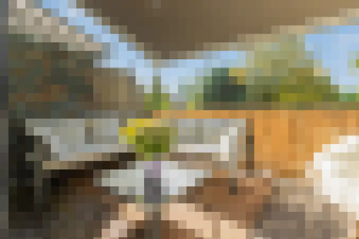 Papenmuts 8 Gorinchem thumbnail 4