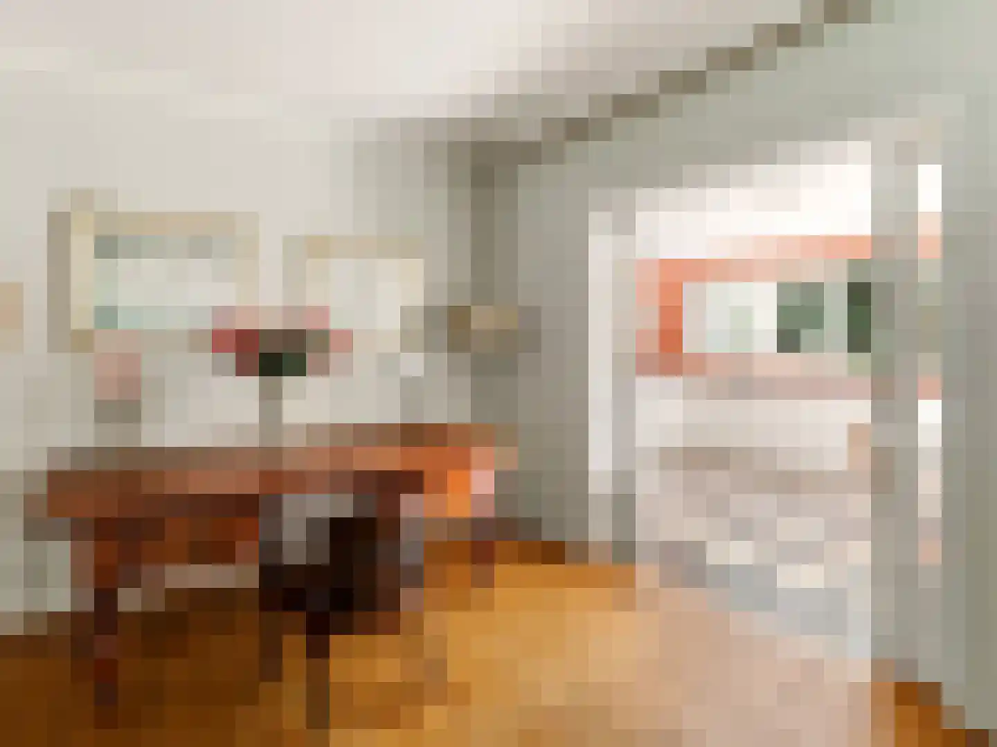 Papenpad 18 Wageningen thumbnail 13