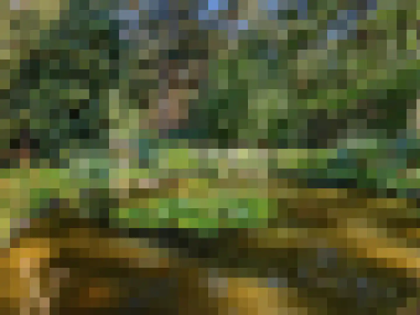Papenpad 18 Wageningen thumbnail 39