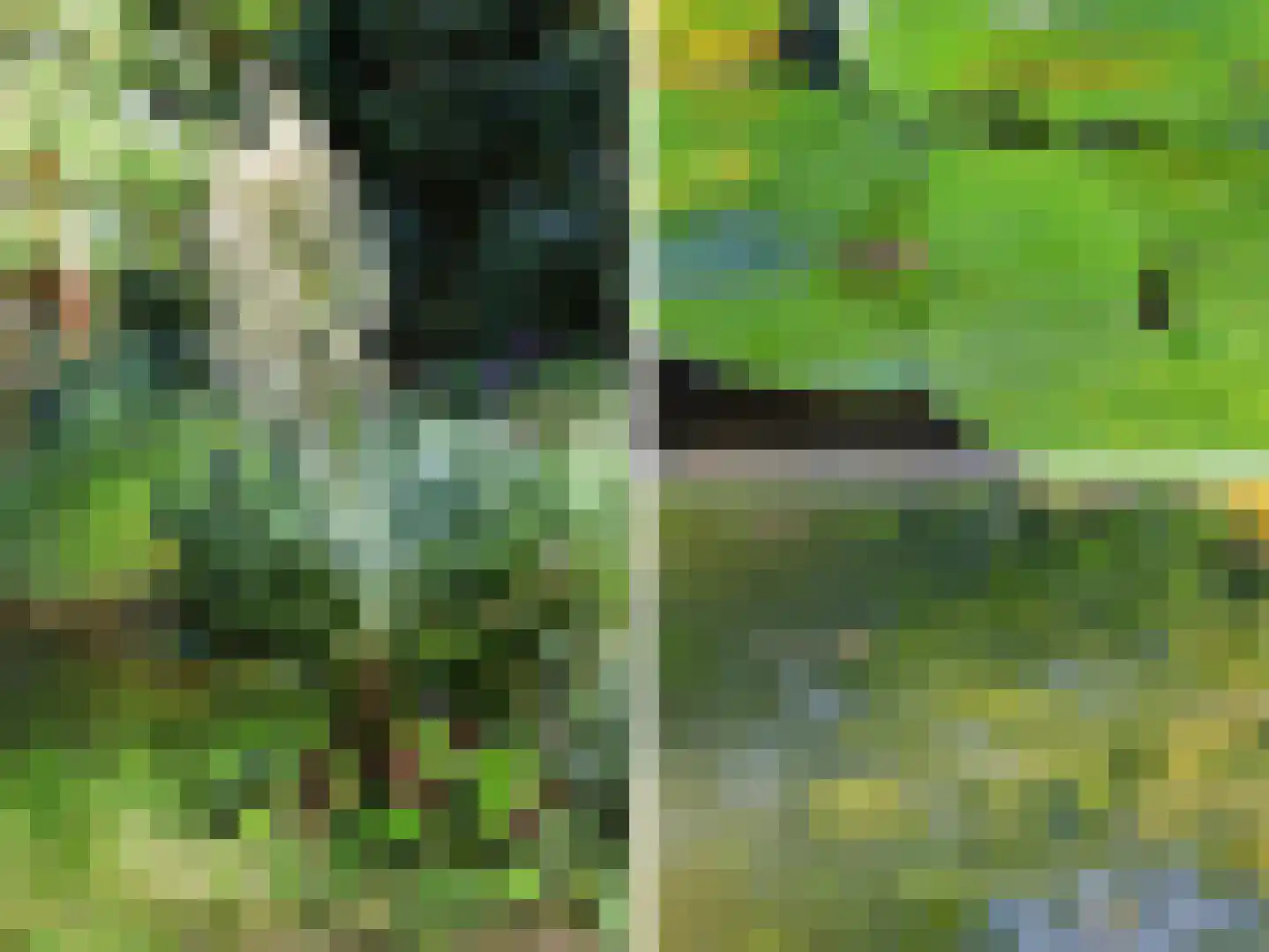 Papenpad 18 Wageningen thumbnail 40