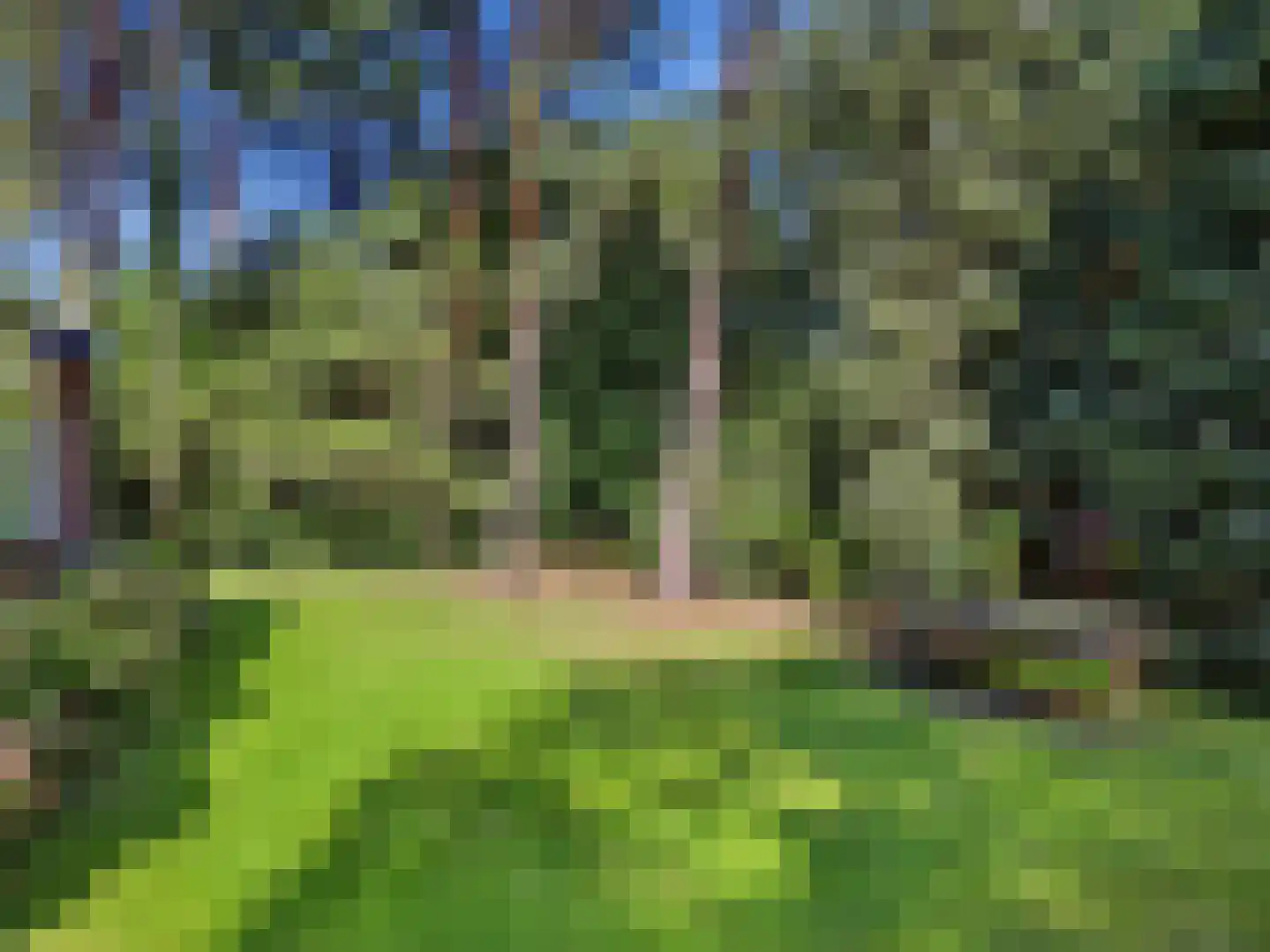 Papenpad 18 Wageningen thumbnail 41