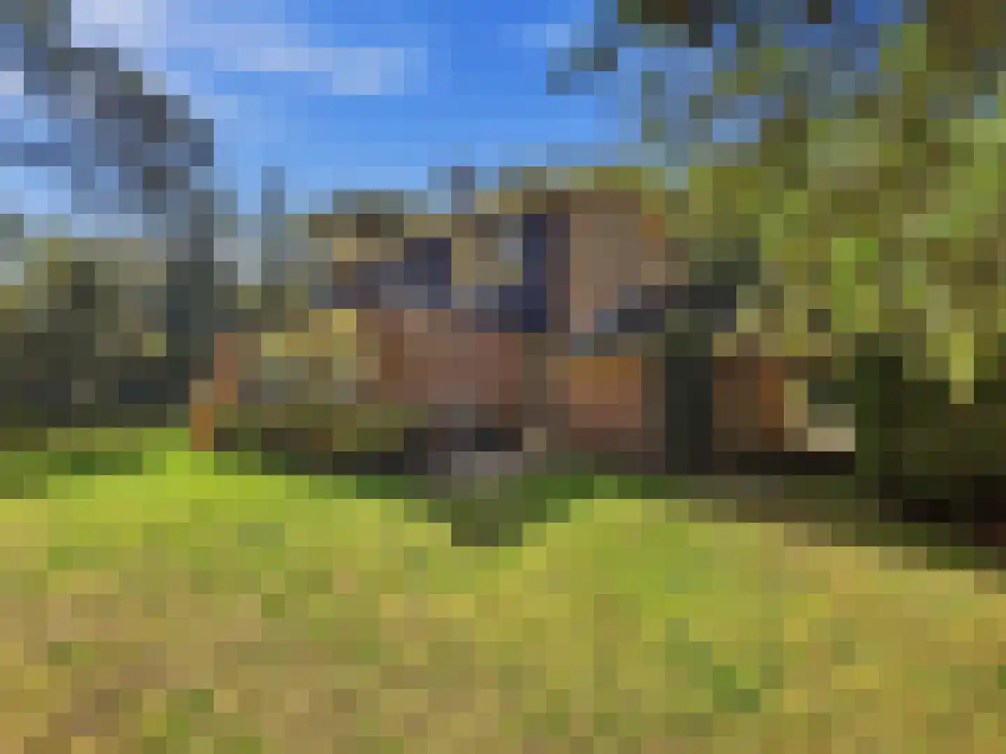 Papenpad 18 Wageningen thumbnail 42