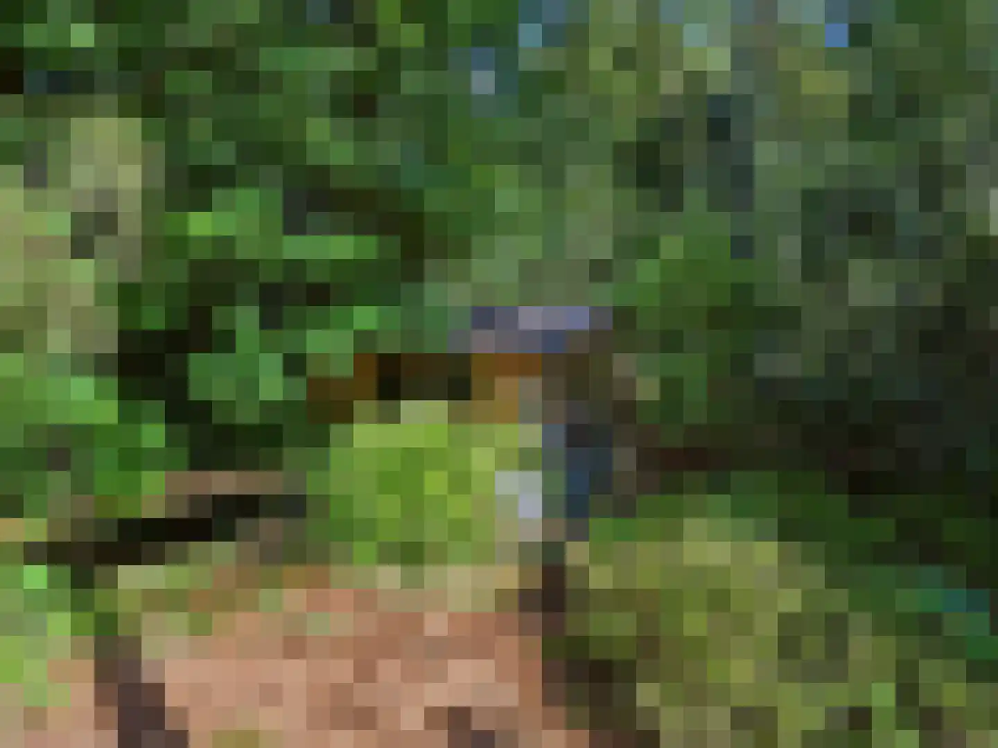 Papenpad 18 Wageningen thumbnail 43