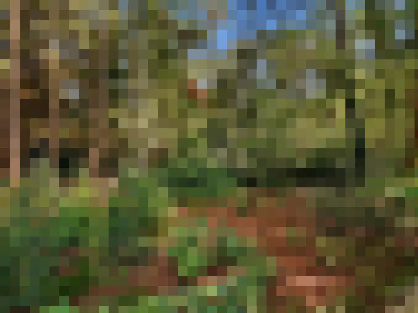 Papenpad 18 Wageningen thumbnail 44