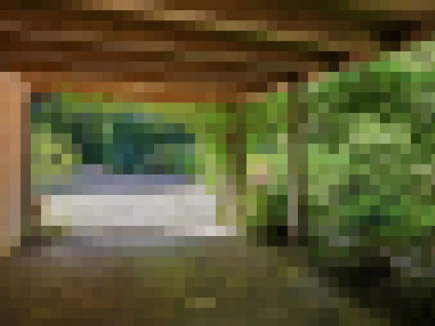 Papenpad 18 Wageningen thumbnail 45