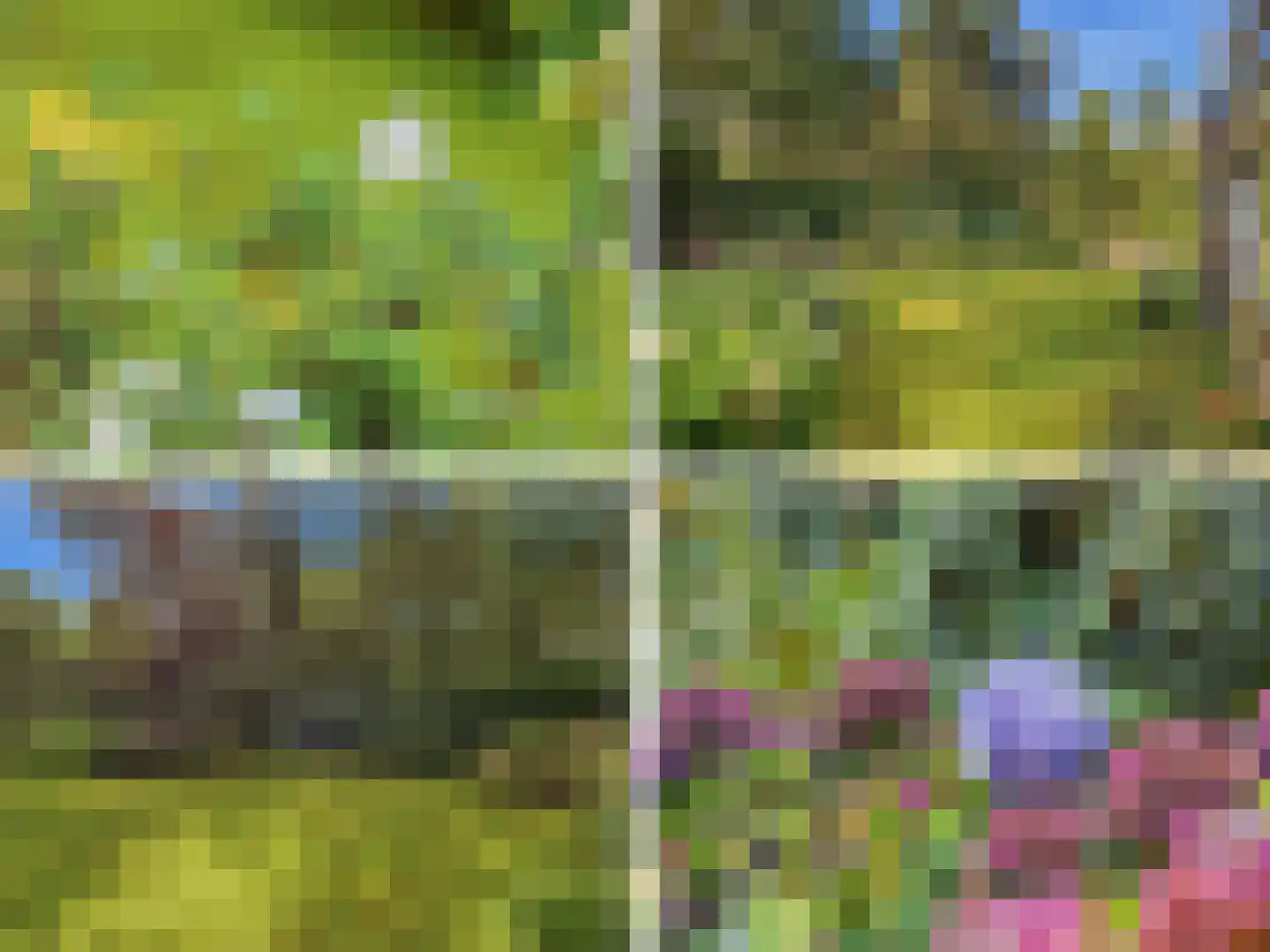 Papenpad 18 Wageningen thumbnail 47