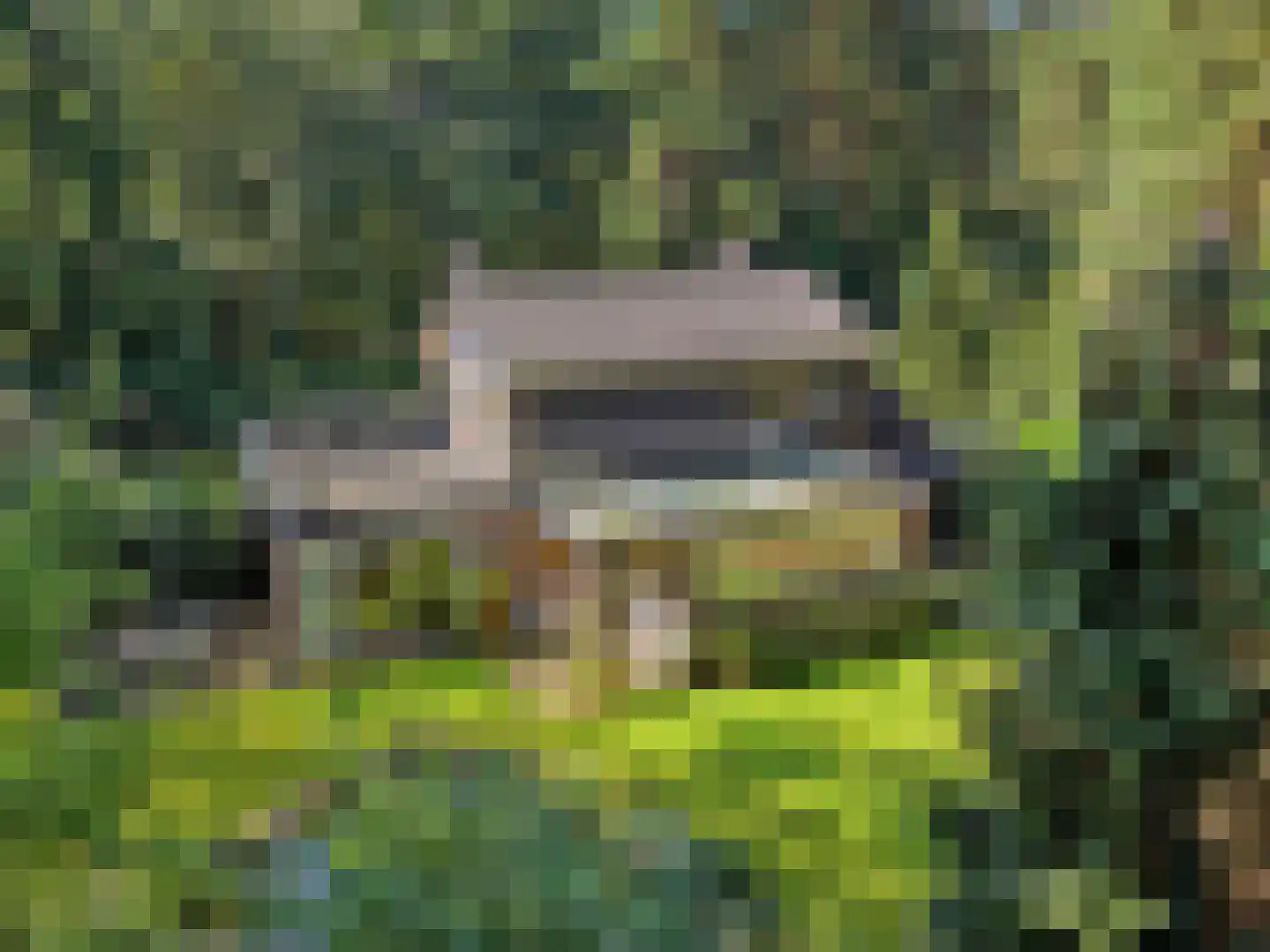 Papenpad 18 Wageningen thumbnail 48