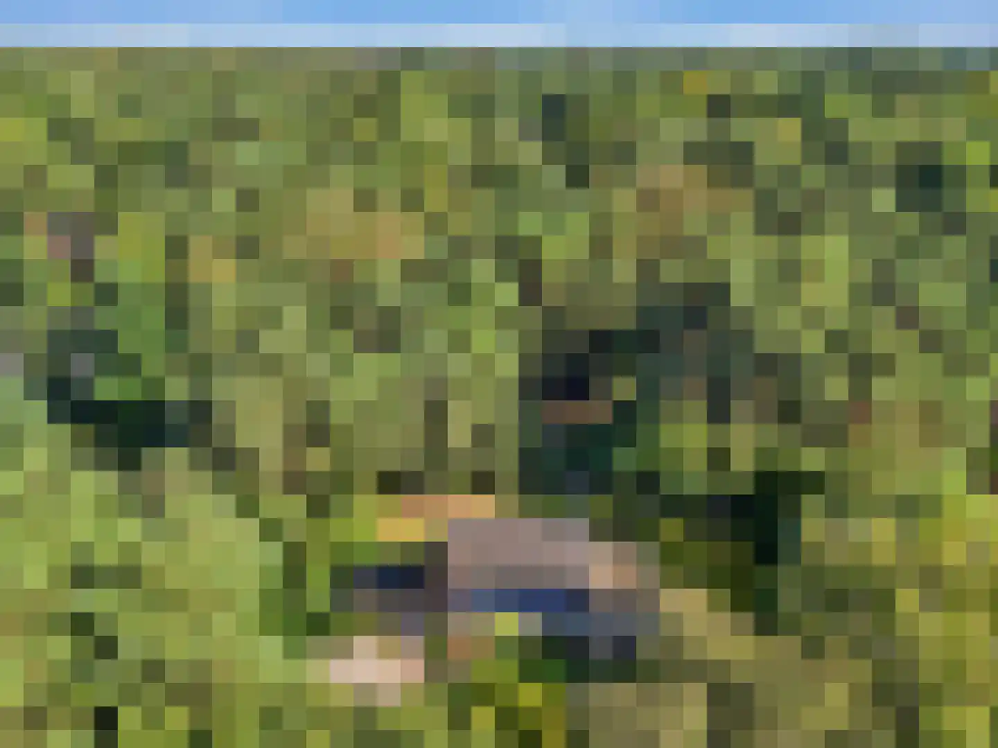 Papenpad 18 Wageningen thumbnail 49