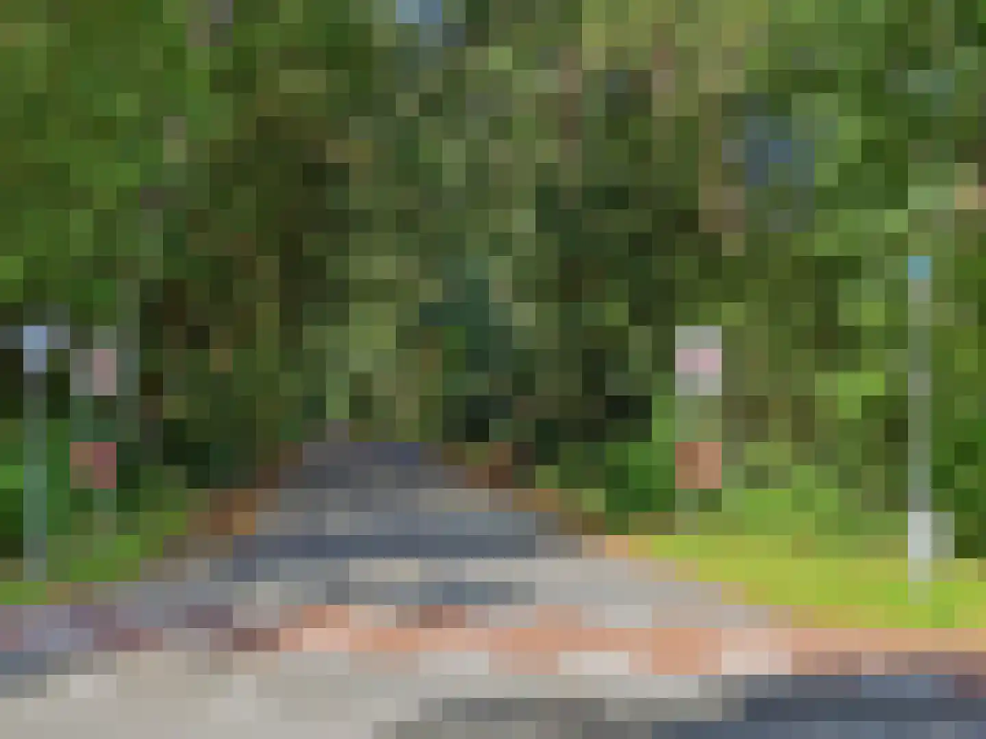 Papenpad 18 Wageningen thumbnail 50