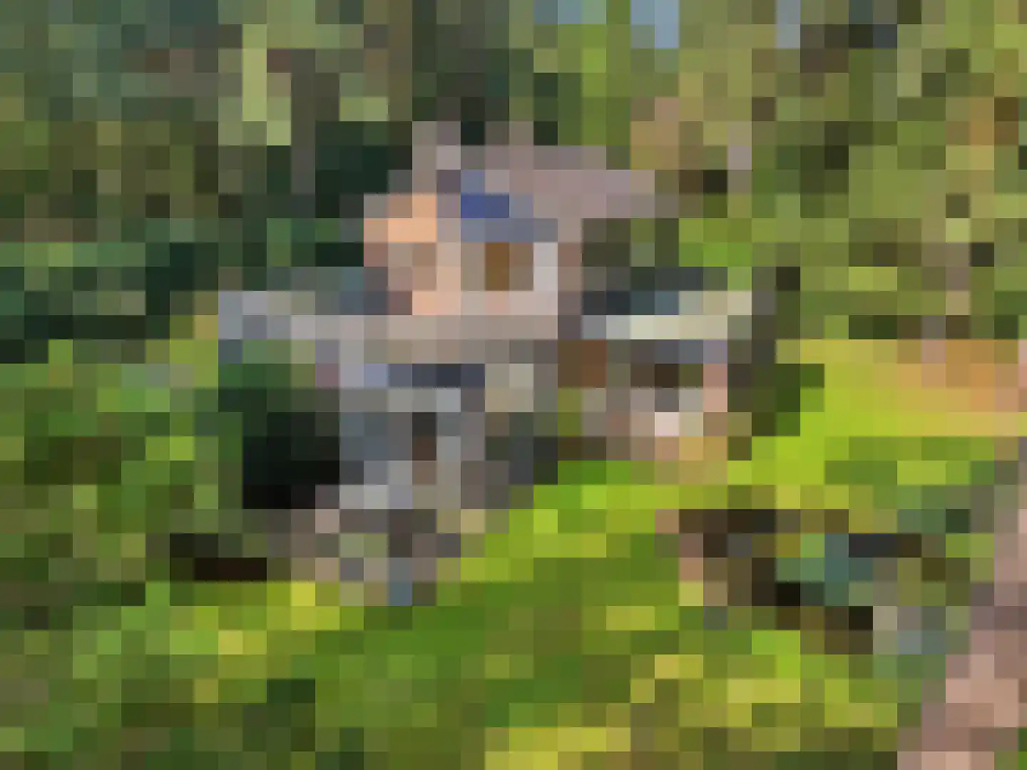 Papenpad 18 Wageningen thumbnail 51