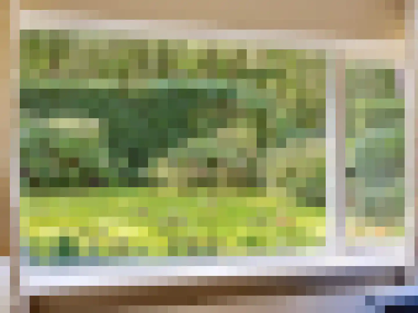 Papenpad 18 Wageningen thumbnail 9