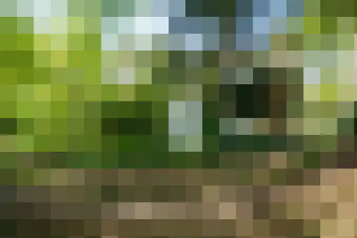 Papenpad 34 A Wageningen thumbnail 31