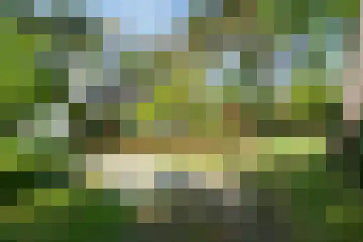 Papenpad 34 A Wageningen thumbnail 32
