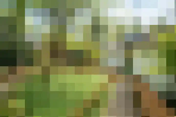 Papenpad 34 A Wageningen thumbnail 33