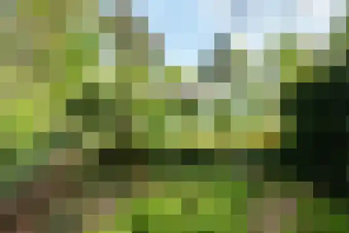 Papenpad 34 A Wageningen thumbnail 34