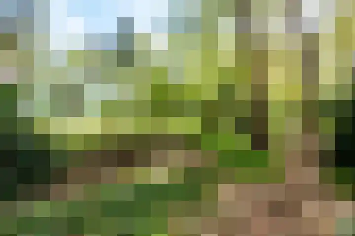 Papenpad 34 A Wageningen thumbnail 35