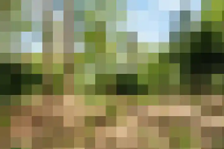 Papenpad 34 A Wageningen thumbnail 36