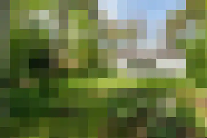 Papenpad 34 A Wageningen thumbnail 37