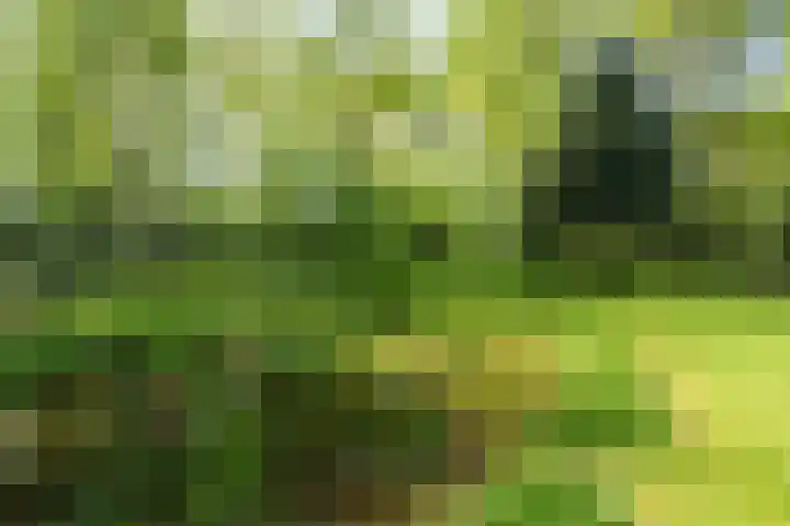 Papenpad 34 A Wageningen thumbnail 39