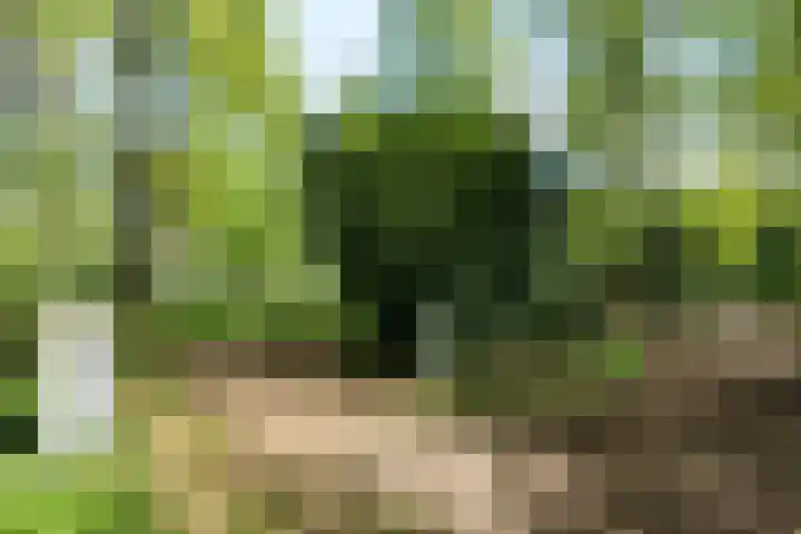 Papenpad 34 A Wageningen thumbnail 4