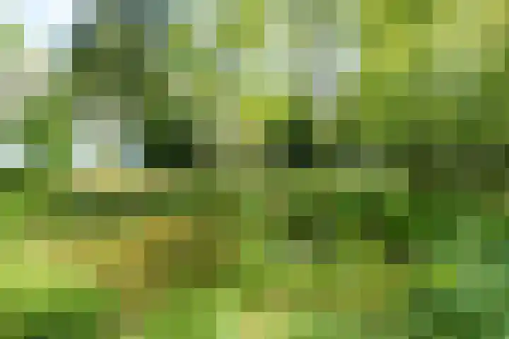 Papenpad 34 A Wageningen thumbnail 40