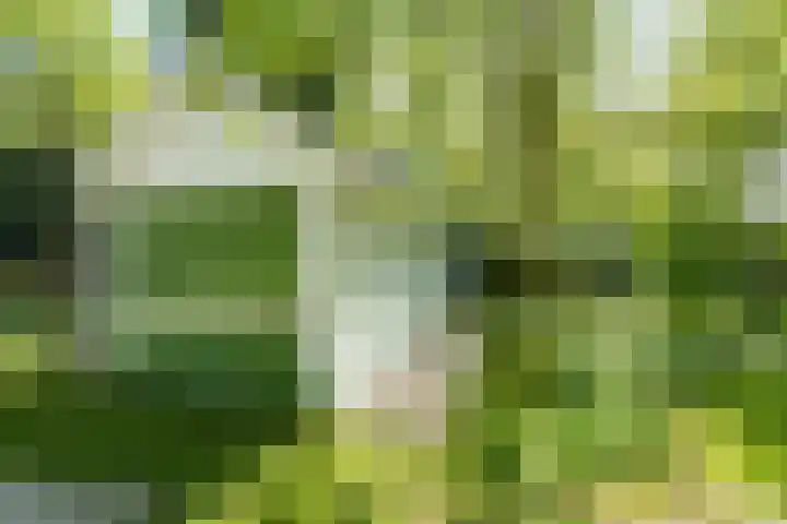 Papenpad 34 A Wageningen thumbnail 41