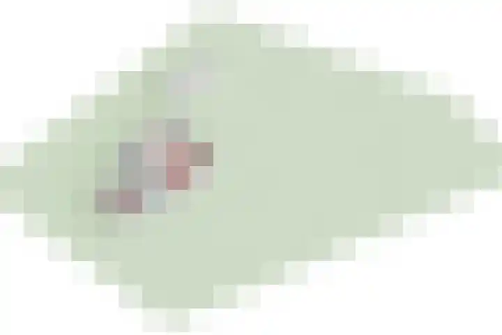 Papenpad 34 A Wageningen thumbnail 49
