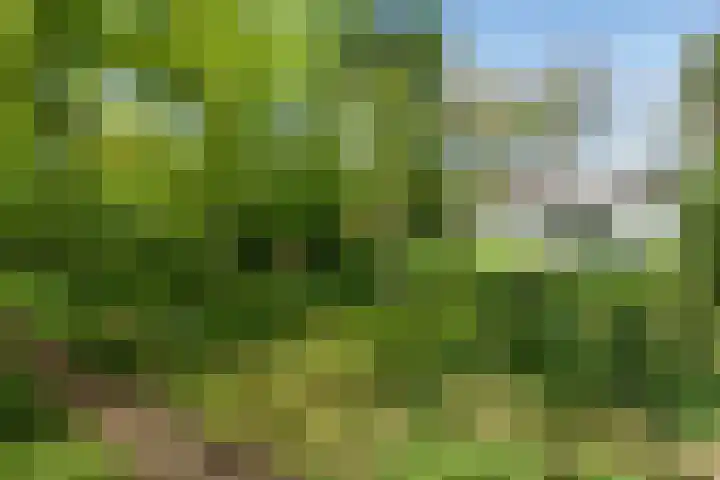 Papenpad 34 A Wageningen thumbnail 5