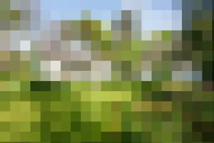Papenpad 34 A Wageningen thumbnail 6