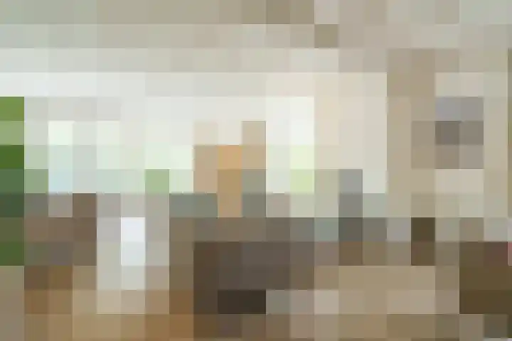 Papenpad 34 A Wageningen thumbnail 7