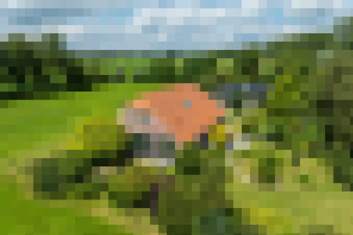 Papenslagweg 3 Lochem