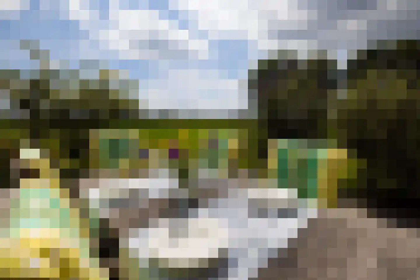 Papenslagweg 3 Lochem thumbnail 10