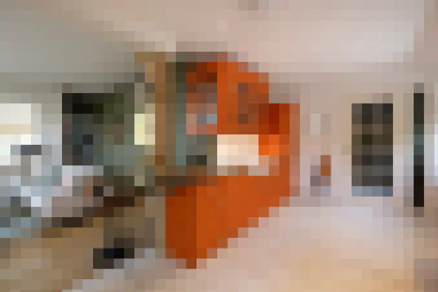 Papenslagweg 3 Lochem thumbnail 13