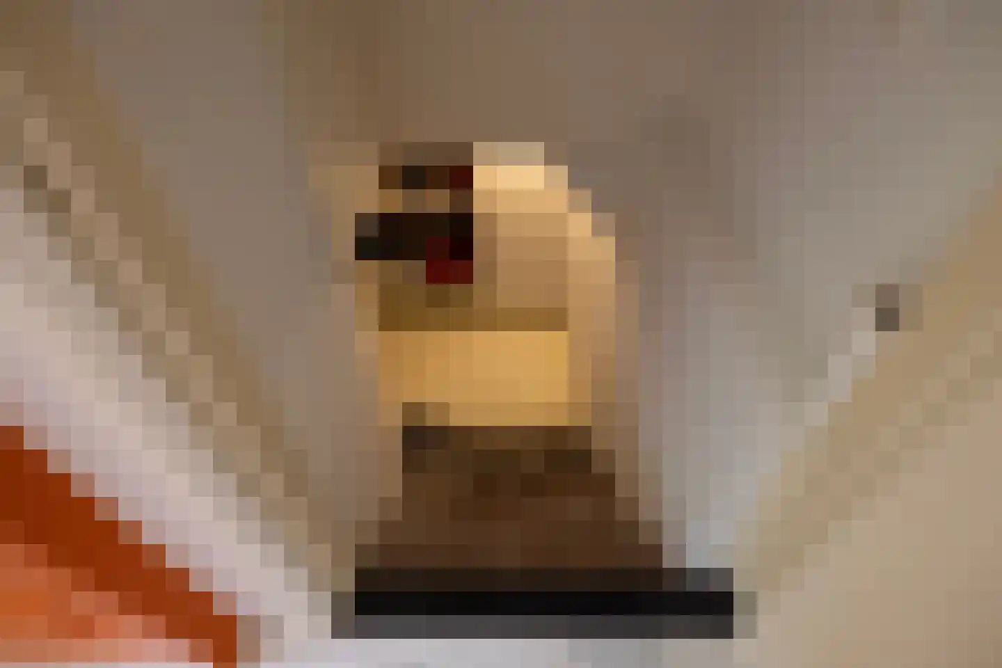 Papenslagweg 3 Lochem thumbnail 16
