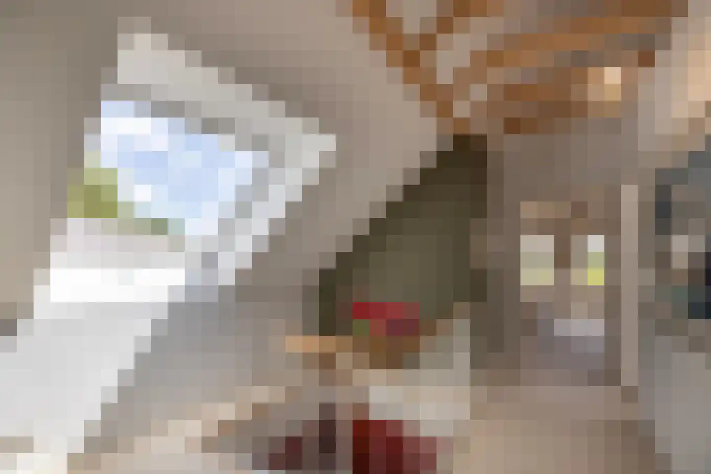 Papenslagweg 3 Lochem thumbnail 26