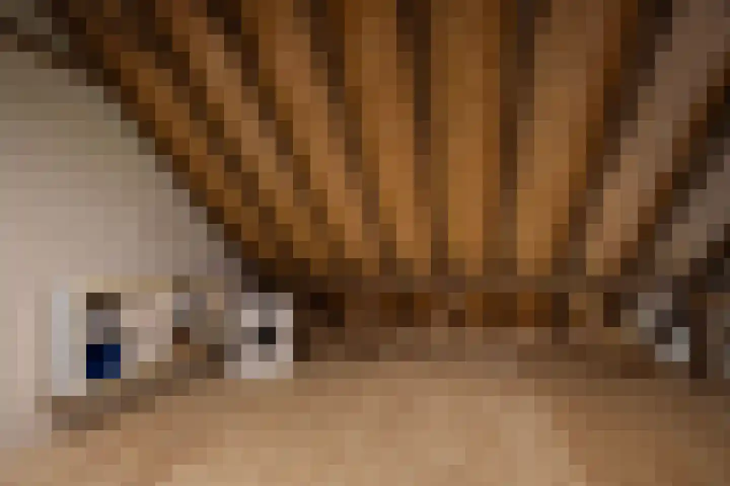 Papenslagweg 3 Lochem thumbnail 35
