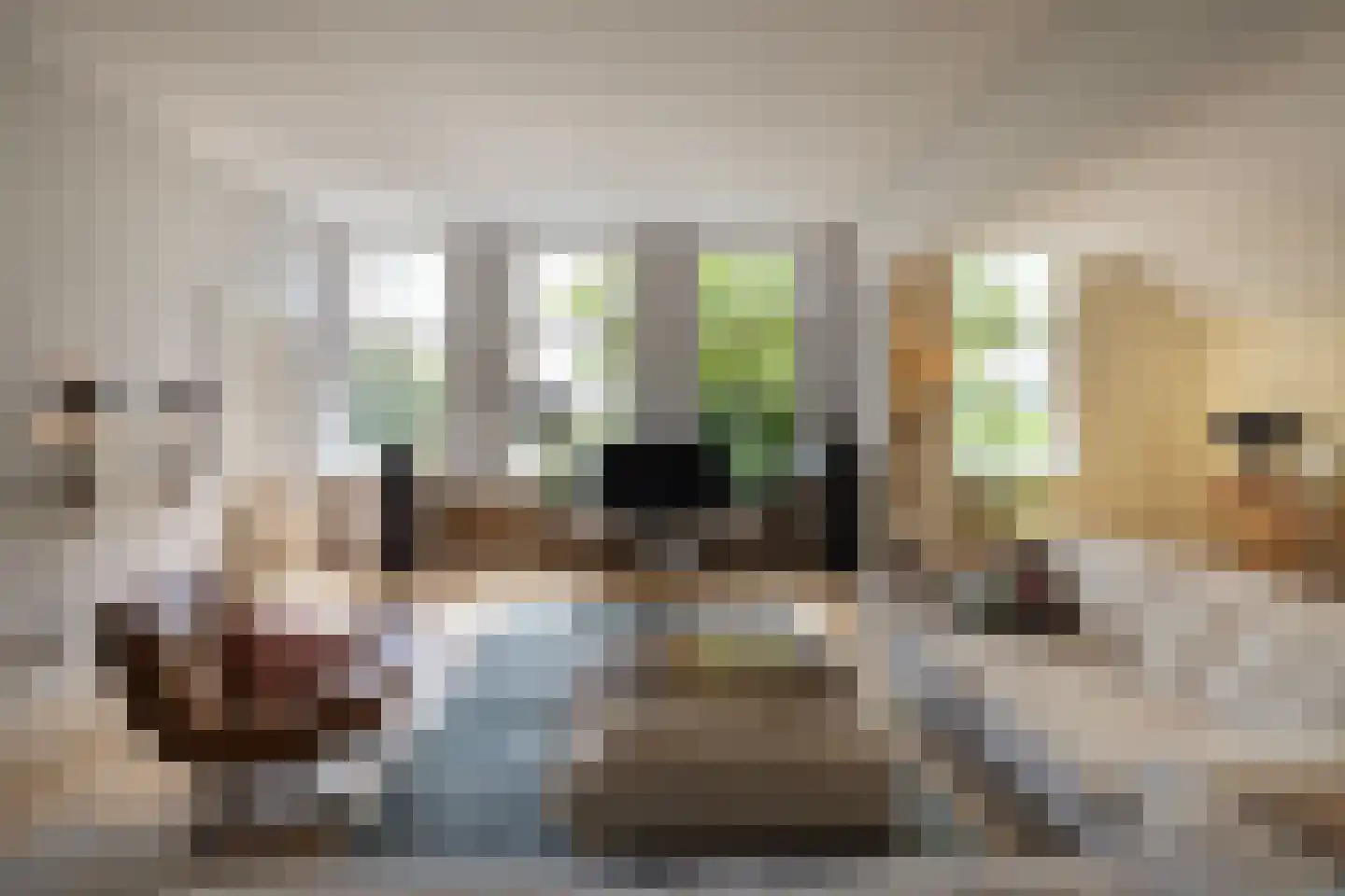Papenslagweg 3 Lochem thumbnail 4
