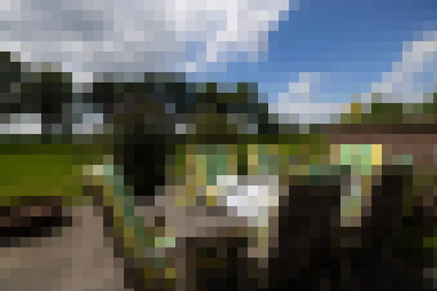 Papenslagweg 3 Lochem thumbnail 41