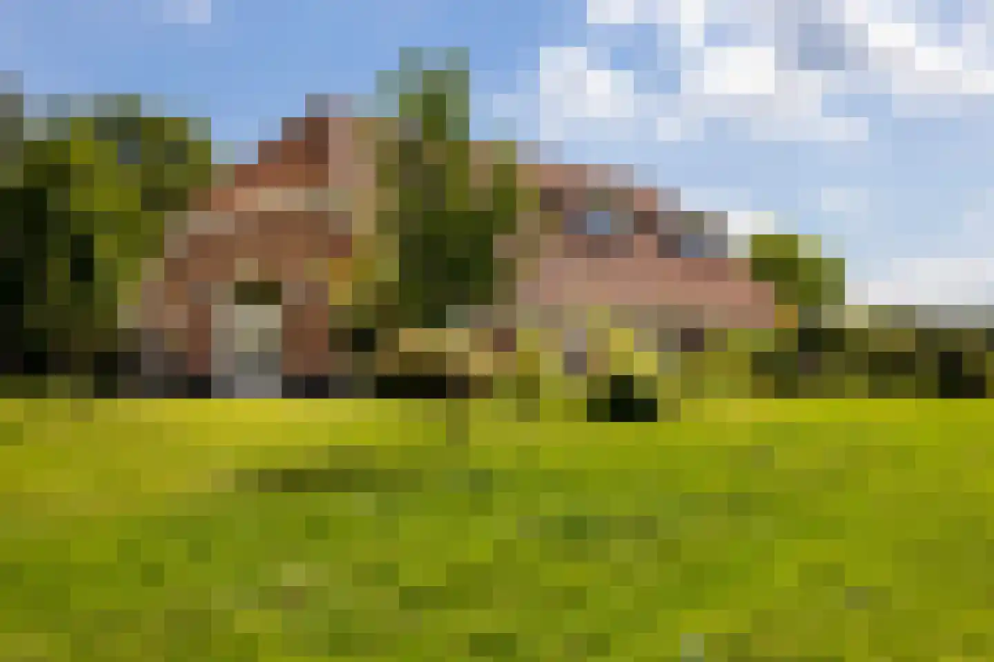 Papenslagweg 3 Lochem thumbnail 42