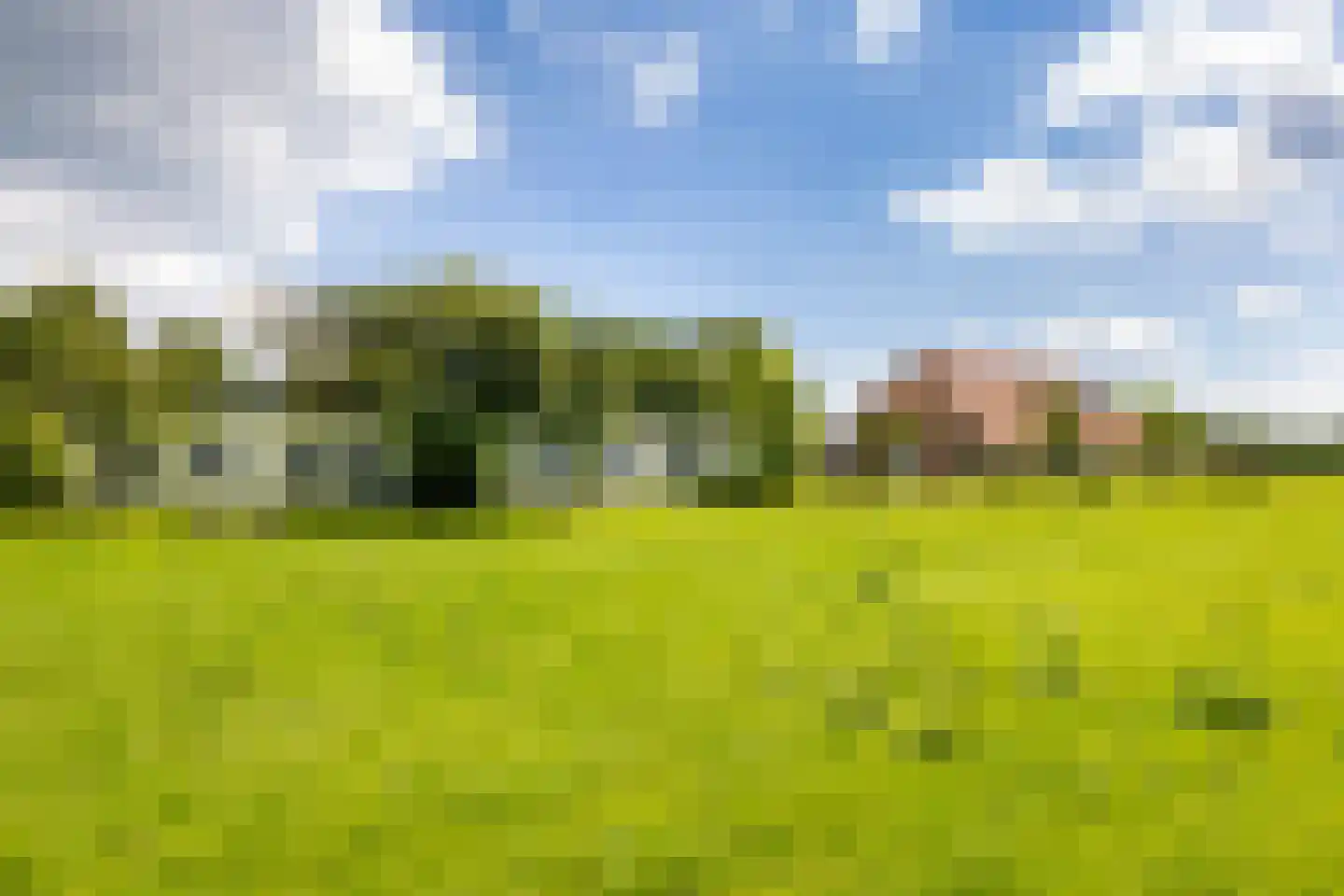 Papenslagweg 3 Lochem thumbnail 46