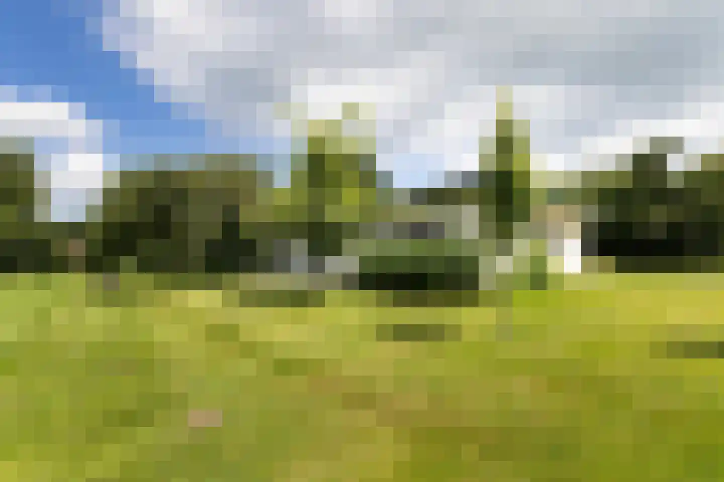 Papenslagweg 3 Lochem thumbnail 53