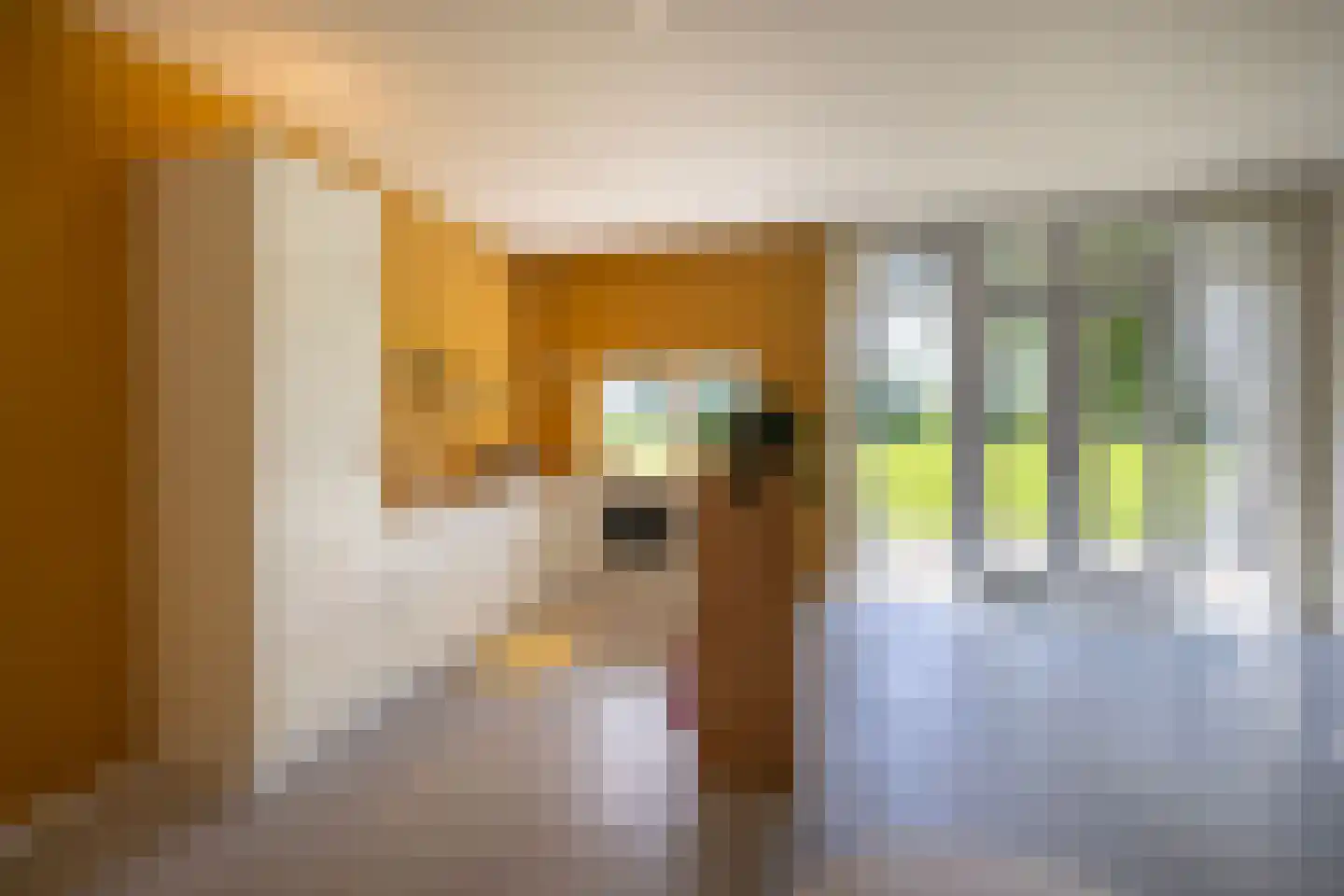 Papenslagweg 3 Lochem thumbnail 64